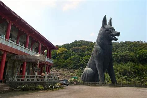 陰神是什麼